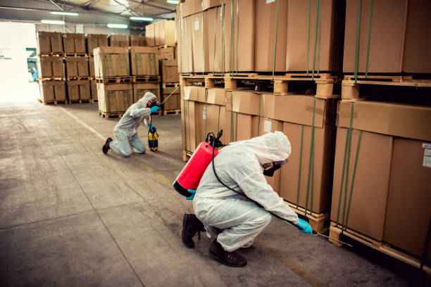 Best Affordable Pest Control Services  in Sandpoint, ID