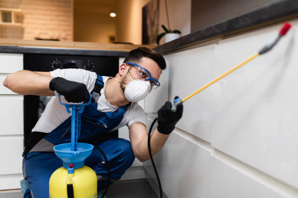 Best Local Pest Control Services  in Sandpoint, ID