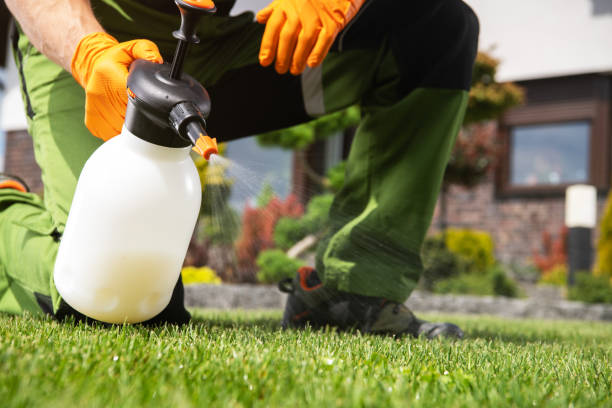 Best Mosquito Control Services  in Sandpoint, ID