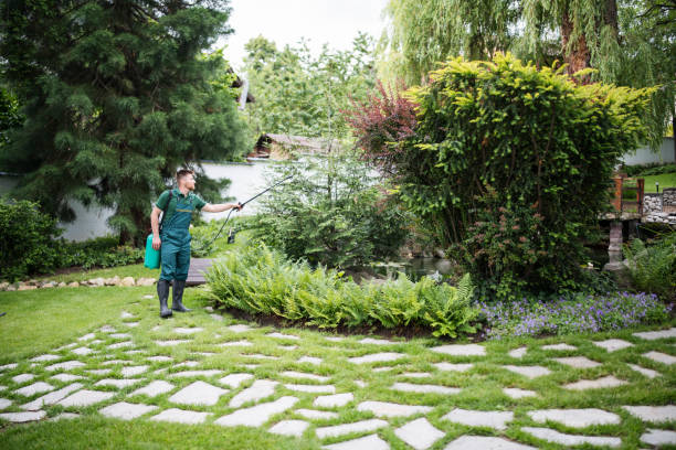 Best Pest Control Near Me  in Sandpoint, ID