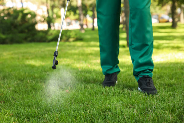 Best Pest Control for Restaurants  in Sandpoint, ID
