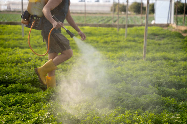 Best Wildlife Control Services  in Sandpoint, ID