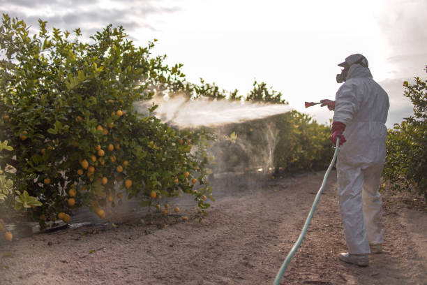 Best Commercial Pest Control Services  in Sandpoint, ID